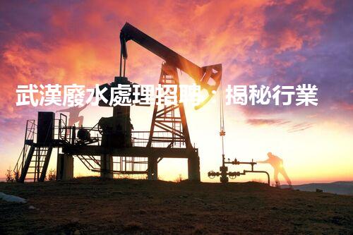 武漢廢水處理招聘：揭秘行業(yè)內(nèi)幕，你不明白的就業(yè)機會？